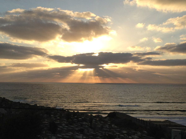  موقع يافا 48 يواصل نشر الصور الجميلة عبر زاويته "صورتي الأجمل"